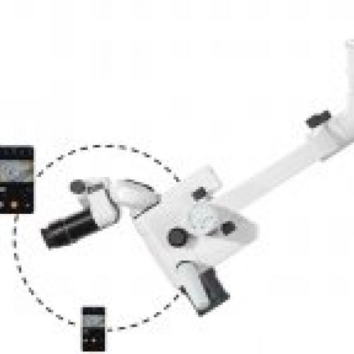 microscopio