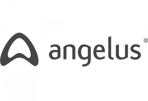 angelus logo 1024x237 copia