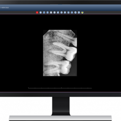 reader software 2024